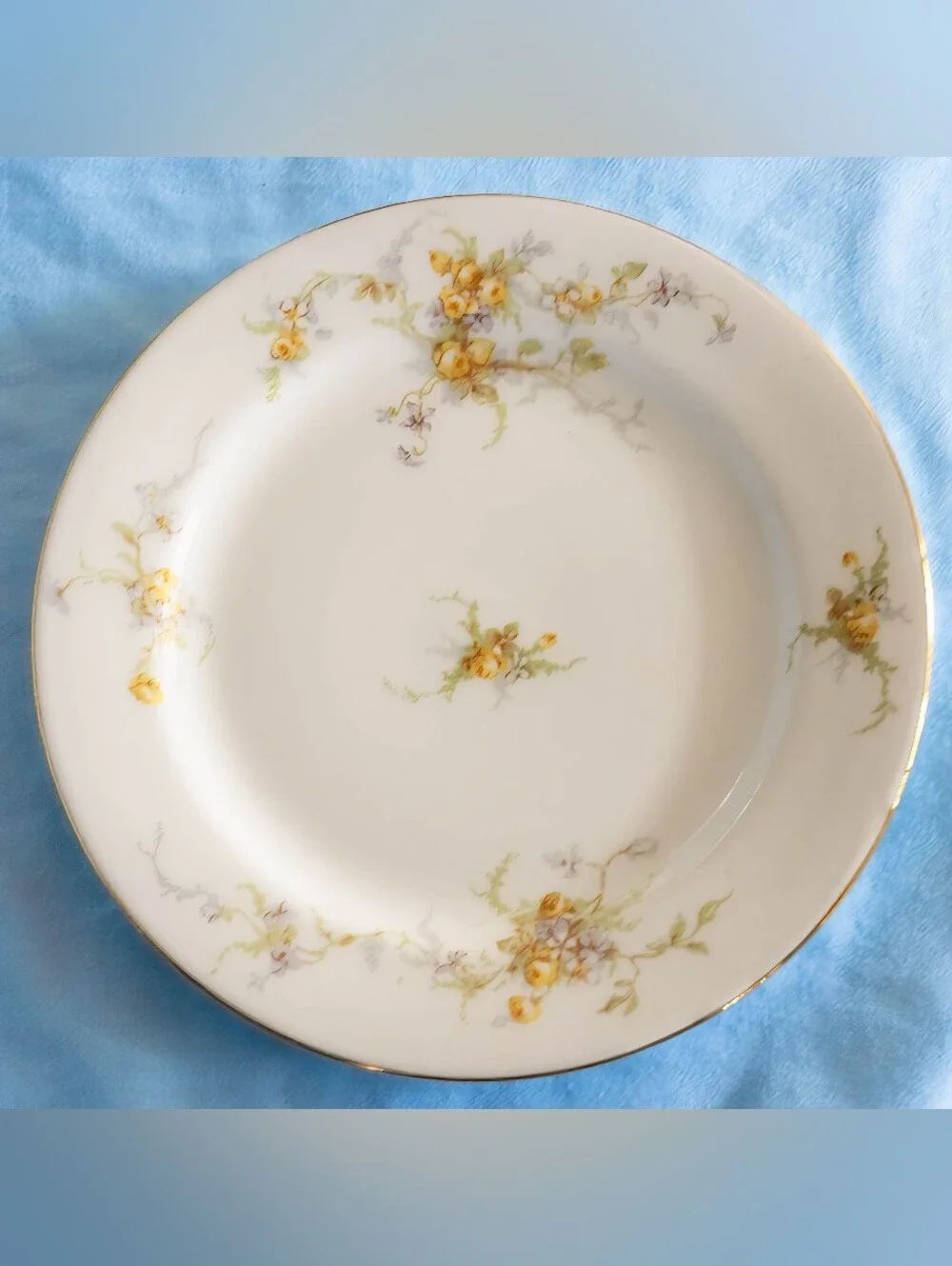 Beautiful Antique Elite Works Limoges France LIM48 Yellow Rose Dinnerware Set